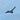 Infantil Lazio 24/25 Home