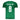 Camisa Palmeiras Home 25/26 Jogador - Verde #RichardRios8