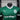 Camisa Palmeiras 25/26 Jogador Home